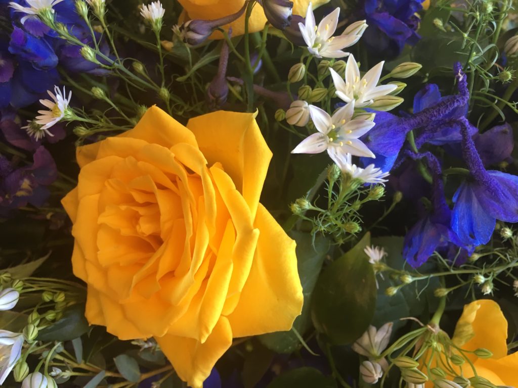 A beautiful bouquet featuring lovely yellow roses by Make Their Day Flowers Cheltenham. If you care for your rose bushes, you can get beautiful blooms like this. 