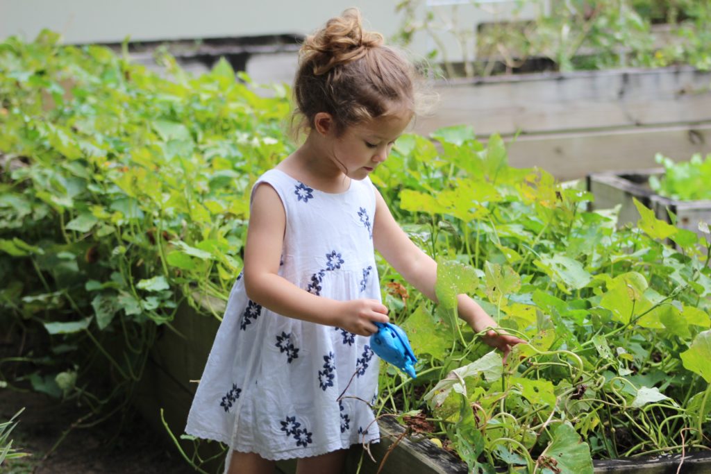 We love seeing children taking an interest in plants at Make Their Day Flowers Cheltenham, here are tips for them to start their own spring vegetable garden!