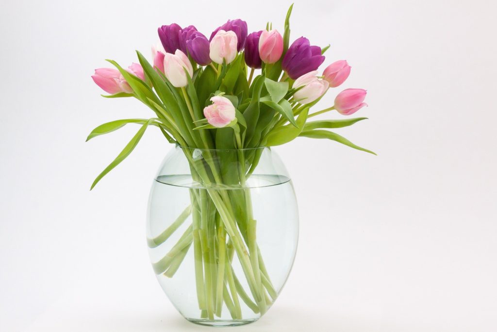 A vase makes a wonderful housewarming gift and is very practical if you have bought them flowers.