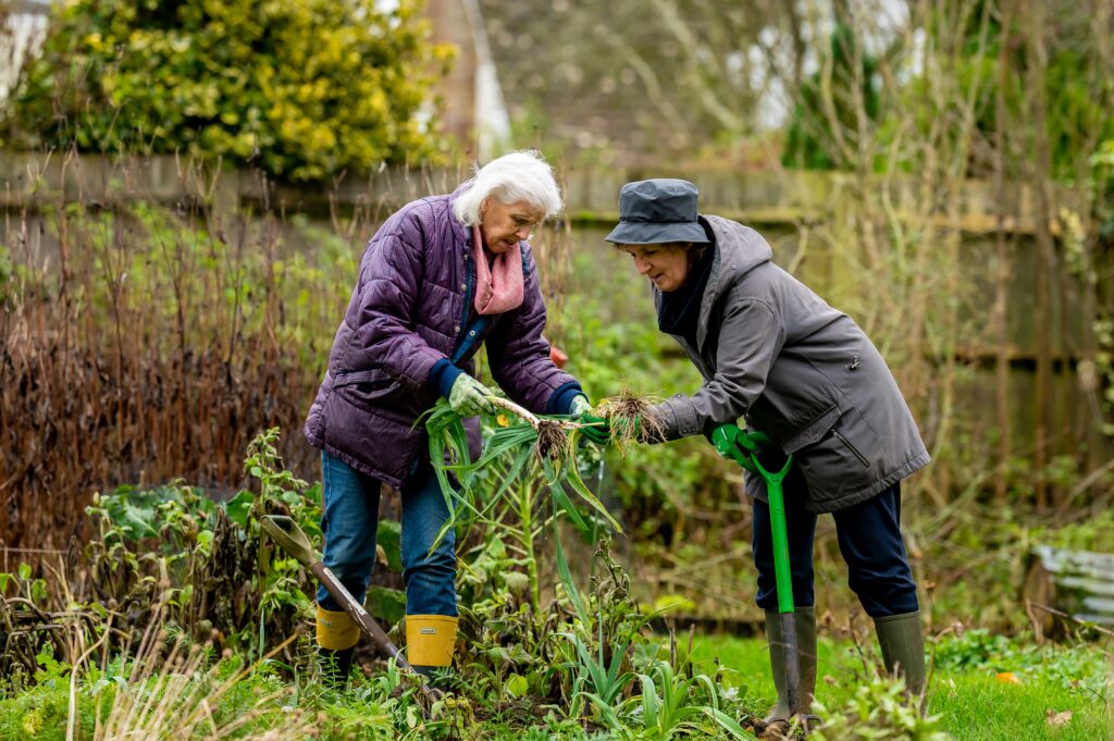 Team up with a friend to start your new garden plot, like these two ladies enjoying some time planting veg together