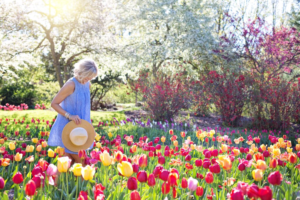 A lady with a straw hat admires her tulips in her flower garden.