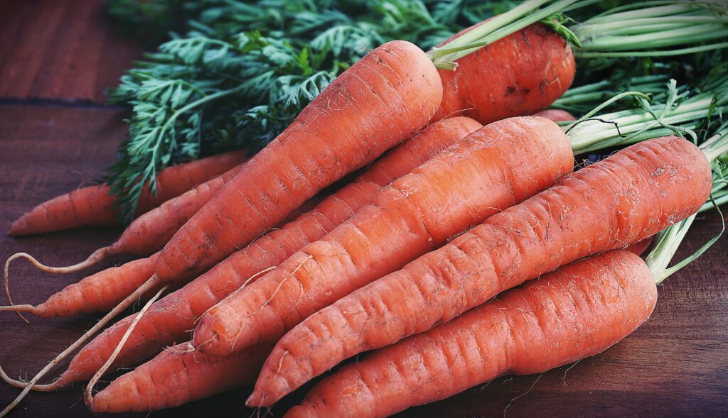Carrots make a good vegetable to grow indoors!